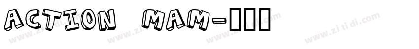 action mam字体转换